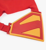 DC Comics SUPERMAN Power Cape Set Super Heroes Costume for Kids with Iconic Chest Plate with bending Iron Rod for Ages 4 and Up